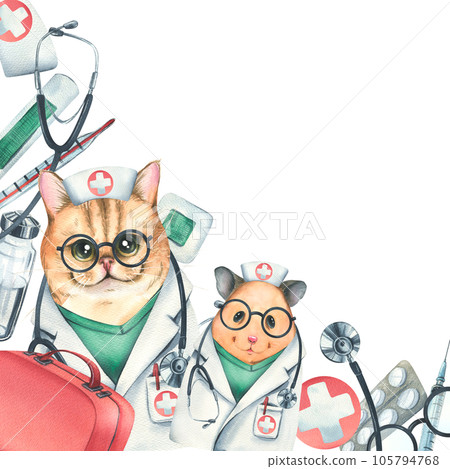 Cat with hamster doctors in a dressing gown, glasses, with a stethoscope, a suitcase and medical instruments, injections. Watercolor illustration hand drawn. Template on white background. Cat with hamster doctors in a dressing gown, glasses, with a stethoscope, a suitcase and medical instruments, injections. Watercolor illustration hand drawn. Template on white background. 105794768