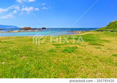 Izu Peninsula, Minamiizu, Tsumekizaki, Ikenodan Beach, a beach with beautiful greenery and flowers with a tropical mood, Shimoda City, Shizuoka Prefecture (3) 105795410