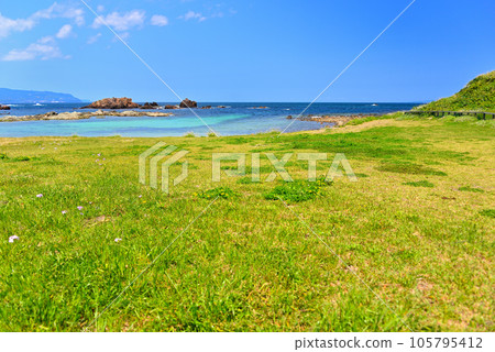 Izu Peninsula, Minamiizu, Tsumekizaki, Ikenodan Beach, a beach with beautiful greenery and flowers with a tropical mood, Shimoda City, Shizuoka Prefecture (4) 105795412