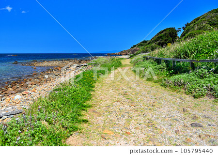 Izu Peninsula, Minamiizu, Tsumekizaki, beautiful beach, promenade where you can walk while looking at Ikenodan Beach, Shimoda City, Shizuoka Prefecture (2) Izu Peninsula, Minamiizu, Tsumekizaki, beautiful beach, promenade where you can walk while looking at Ikenodan Beach, Shimoda City, Shizuoka Prefecture (2) 105795440