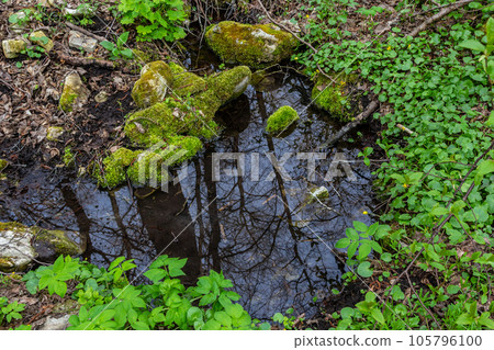 River in a forest park. Plants, moss, green grass. Reflections on water. Spring, early summer. Environment climate ecology ecosystems, pure nature. Idyllic landscape. High angle view 105796100