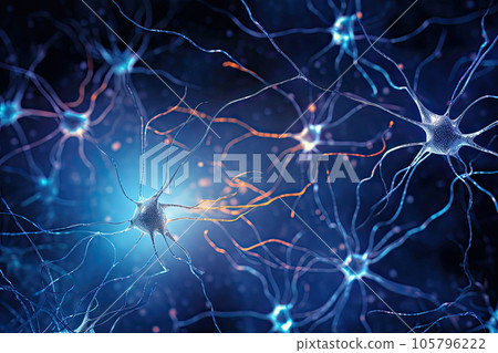 Nerve cells that send and receive neurotransmitters Nerve cells that send and receive neurotransmitters 105796222