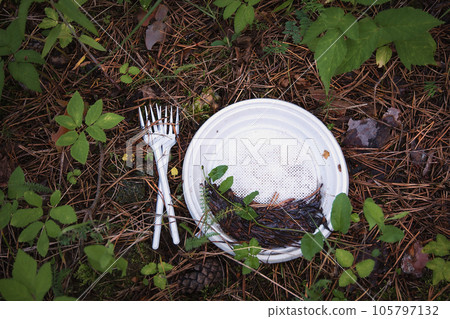 Plastic pollution of forest, plate and fork left after a picnic 105797132
