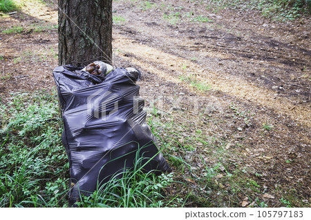Garbage bag with plastic waste in the forest, cleaning up forests from plastic pollution Garbage bag with plastic waste in the forest, cleaning up forests from plastic pollution 105797183