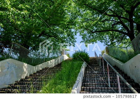 Takinomizu Park, Nagoya 105798617