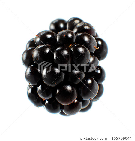 Blackberry fruit isolated on white background Blackberry fruit isolated on white background 105799044