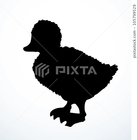 Cute duckling. Vector outline drawing Cute duckling. Vector outline drawing 105799529
