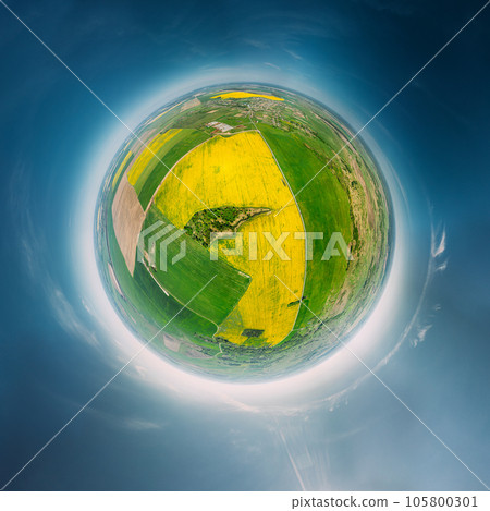 Aerial View Green Countryside Rural Yellow Canola Colza Field Meadow Landscape Sunny Spring Day. Top View Of Beautiful European Nature From High Attitude. Little Small Planet Concept 105800301