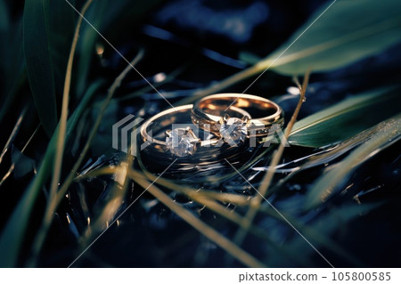 Close-up macro shot of wedding rings, detailed jewelry. 105800585
