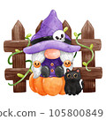 Gnome Halloween Watercolor clipart Gnome Witch Pumpkin Spooky cartoon character with a broom and a hat Hand Drawn 105800849