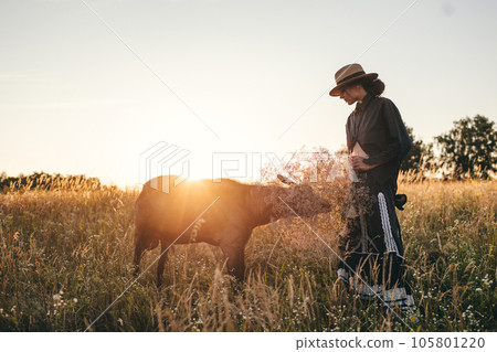 Young woman in the field is grazing her white goats. The girl and goats in the meadow in summer. Love for animals. Goat farm. Pets. Happy woman with animal. Kindness and love for animals. Kisses a pet 105801220