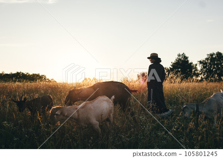 Young woman in the field is grazing her white goats. The girl and goats in the meadow in summer. Love for animals. Goat farm. Pets. Happy woman with animal. Kindness and love for animals. Kisses a pet Young woman in the field is grazing her white goats. The girl and goats in the meadow in summer. Love for animals. Goat farm. Pets. Happy woman with animal. Kindness and love for animals. Kisses a pet 105801245