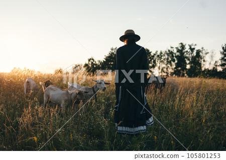 Young woman in the field is grazing her white goats. The girl and goats in the meadow in summer. Love for animals. Goat farm. Pets. Happy woman with animal. Kindness and love for animals. Kisses a pet Young woman in the field is grazing her white goats. The girl and goats in the meadow in summer. Love for animals. Goat farm. Pets. Happy woman with animal. Kindness and love for animals. Kisses a pet 105801253