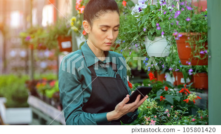 Lady florist enters information on flowers quantity in tablet 105801420