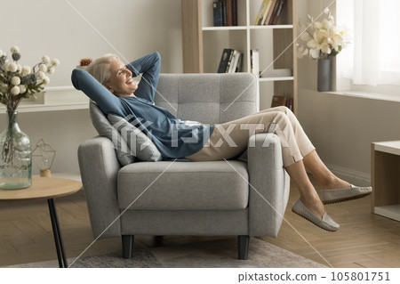 Happy senior woman resting in soft cozy armchair at home 105801751