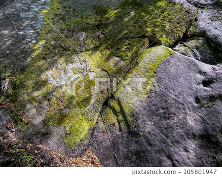 Old mossy rock texture background 105801947