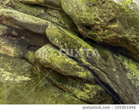 Old mossy stones in forest 105801948