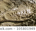 Chipped old rock background texture Chipped old rock background texture 105801949