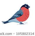 Bullfinch. Vector illustration of a feathered character. The bird is standing in the snow. Cute art in flat cartoon style. Isolated on white background 105802314