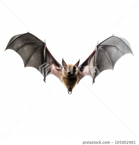 Flying Bat Isolated on White Background. Generative ai 105802981