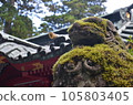 Hakone Shrine entrance 105803405
