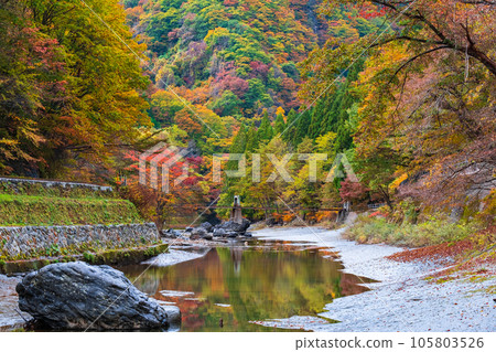 Yuze Valley (Autumn) Yuze Valley (Autumn) 105803526