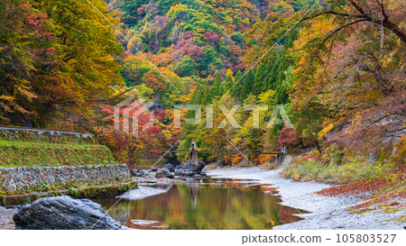 Yuze Valley (Autumn) Yuze Valley (Autumn) 105803527