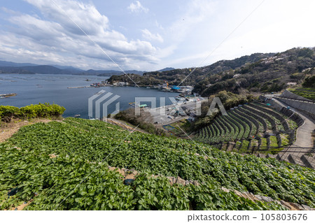 Udaiba of Yuuko Watergoura (Uwajima-shi, Ehime Prefecture) Udaiba of Yuuko Watergoura (Uwajima-shi, Ehime Prefecture) 105803676