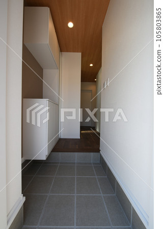 The entrance of a newly built detached house The entrance of a newly built detached house 105803865