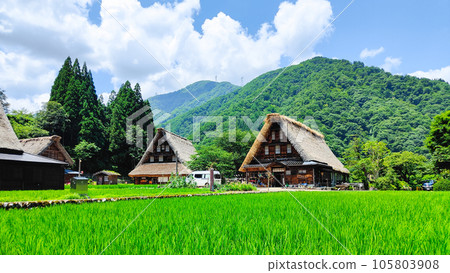 夏天的五箇山菅沼合掌造村 夏天的五箇山菅沼合掌造村 105803908