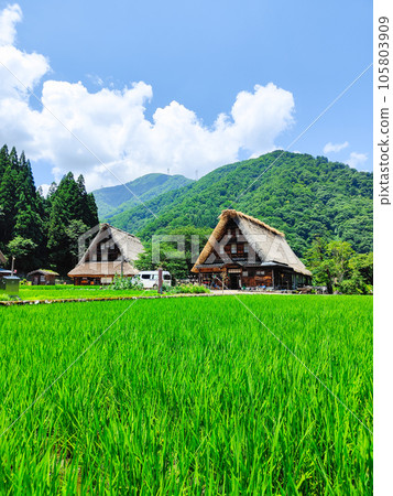 Suganuma Gassho-zukuri village in Gokayama in summer Suganuma Gassho-zukuri village in Gokayama in summer 105803909