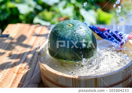西瓜(室外) 桶裝木玉西瓜 黑木玉西瓜 木玉西瓜 西瓜(室外) 桶裝木玉西瓜 黑木玉西瓜 木玉西瓜 105804233
