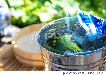 Watermelon (Outdoor) Bucket Tub Kodama Watermelon Watermelon Black Kodama Watermelon Kodama Watermelon 105804234