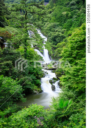 Natsu Mikaeri no Taki Falls, Karatsu City, Saga Prefecture Natsu Mikaeri no Taki Falls, Karatsu City, Saga Prefecture 105804436