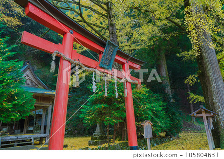 在京都市北區岩戶大千葉神社拍攝深秋的黃色銀杏 在京都市北區岩戶大千葉神社拍攝深秋的黃色銀杏 105804631