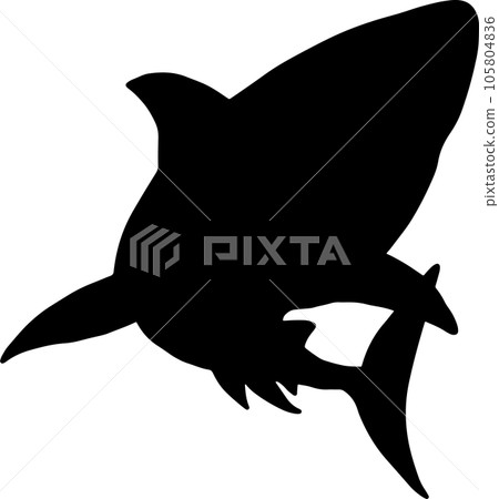 The Shark illustration for wild life or ocean concept 105804836