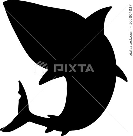 The Shark illustration for wild life or ocean concept The Shark illustration for wild life or ocean concept 105804837