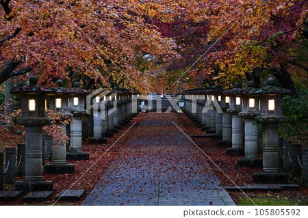 Autumn leaves of Takayama-ji 105805592