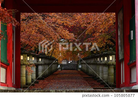 Autumn leaves of Takayama-ji Autumn leaves of Takayama-ji 105805877