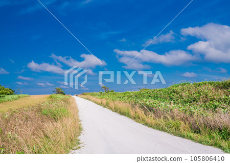 （北海道稚內）夏天的藍天、白色的道路 105806410