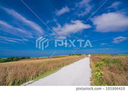 （北海道稚內）夏天的藍天、白色的道路 105806420