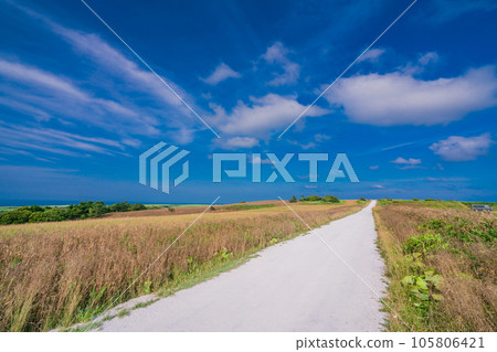 （北海道稚內）夏天的藍天、白色的道路 105806421