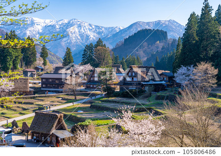 Gokayama, Toyama Prefecture Ainokura Gassho-zukuri Village in Spring when Cherry Blossoms Bloom Gokayama, Toyama Prefecture Ainokura Gassho-zukuri Village in Spring when Cherry Blossoms Bloom 105806486