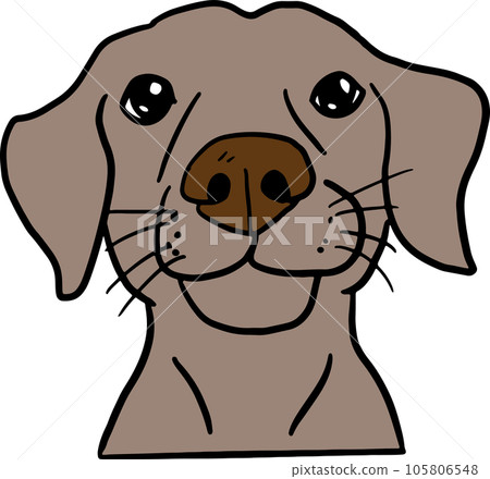 The dog face png image for pet or animal concept The dog face png image for pet or animal concept 105806548