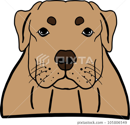 The dog face png image for pet or animal concept The dog face png image for pet or animal concept 105806549