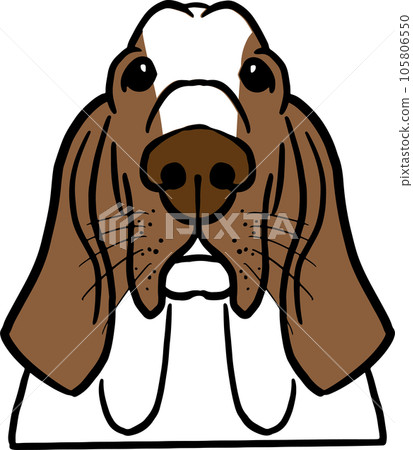 The dog face png image for pet or animal concept The dog face png image for pet or animal concept 105806550
