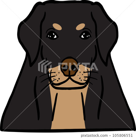 The dog face png image for pet or animal concept The dog face png image for pet or animal concept 105806551