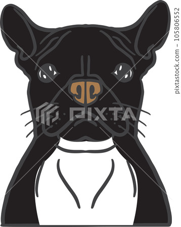 The dog face png image for pet or animal concept The dog face png image for pet or animal concept 105806552