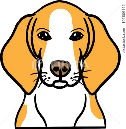 The dog face png image for pet or animal concept The dog face png image for pet or animal concept 105806553