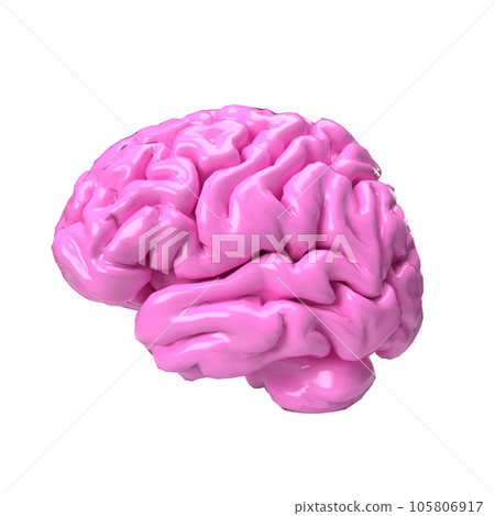 The pink brain png image for sci or medical concept 3d rendering 105806917